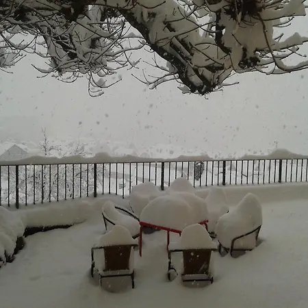 酒店 文森特酒店 潘蒂科萨